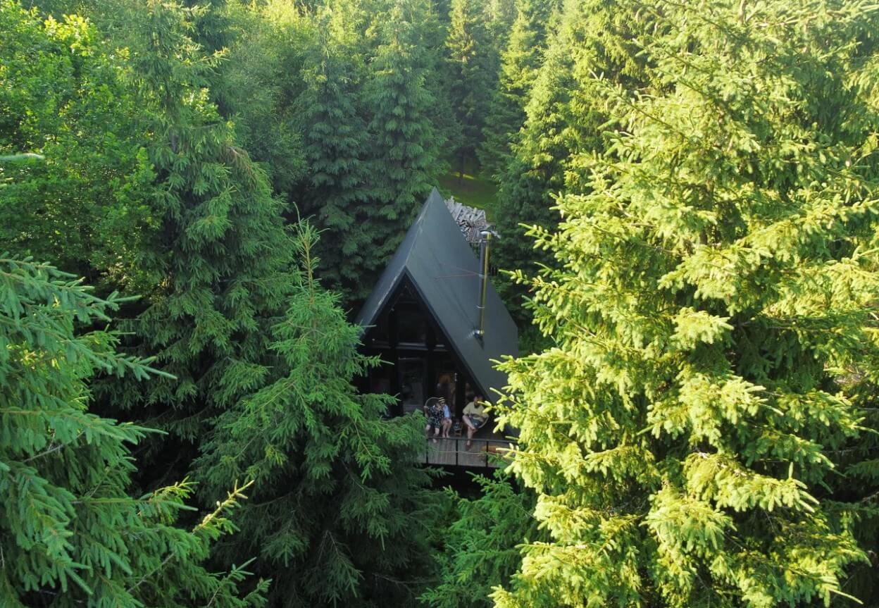 Гемпинг-дом в лесу 