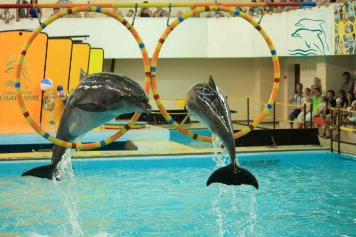 Аквариум с дельфинами Гернси Гик