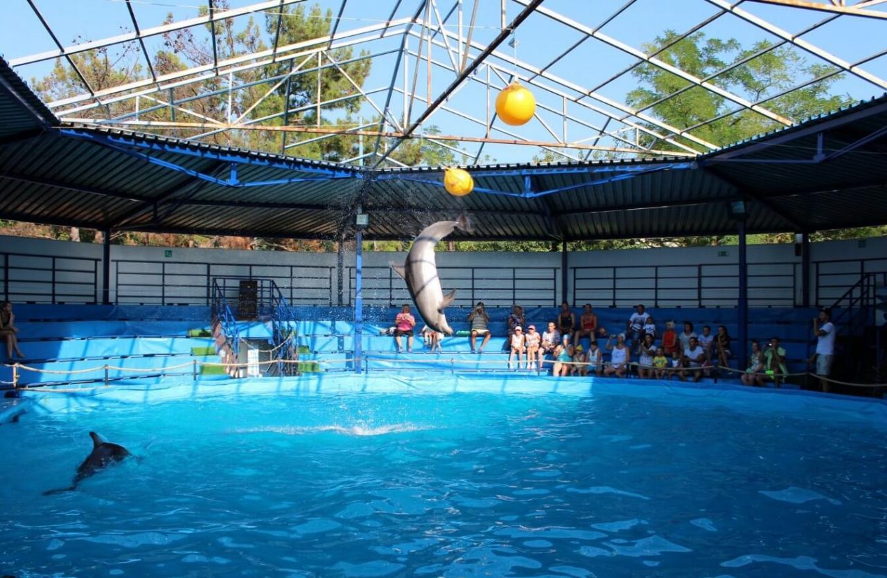 Кабардинский аквариум с дельфинами
