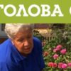 Начальник тети Таня Садовая: биография, фото, личная жизнь