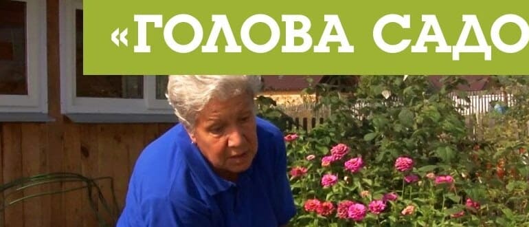 Начальник тети Таня Садовая: биография, фото, личная жизнь