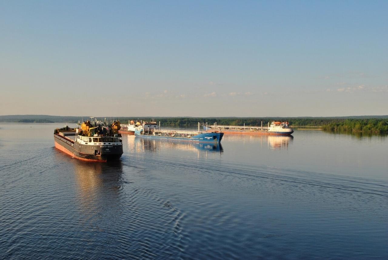 Река Шакса и Рыбинское водохранилище