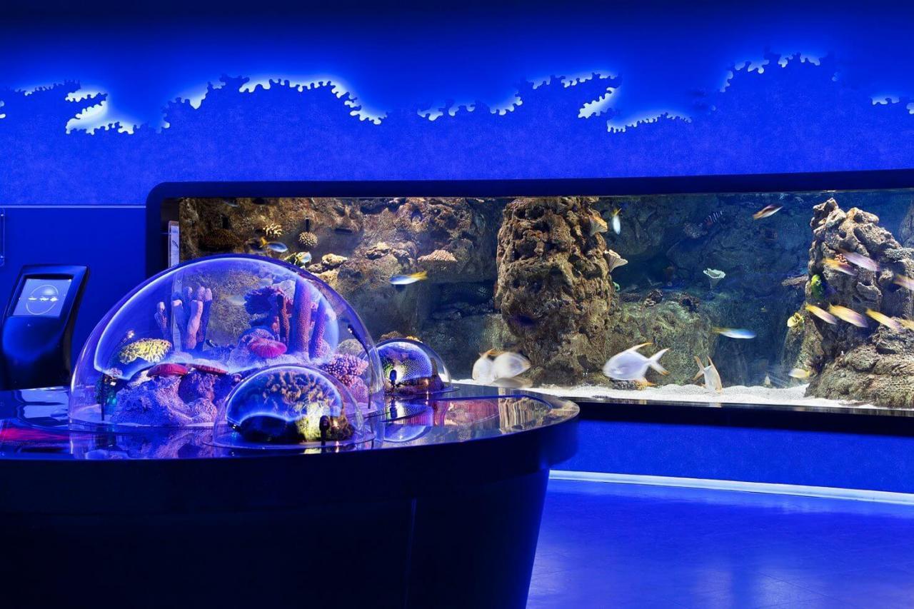 Стамбульский аквариум