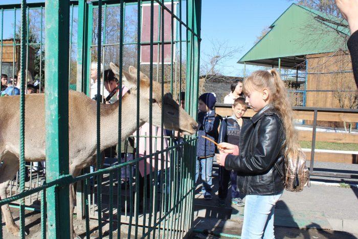 Владикавказский зоопарк